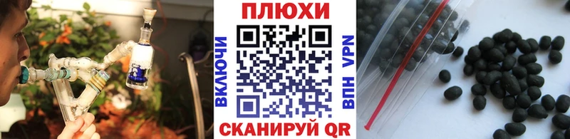 ГАШ Изолятор Рудня