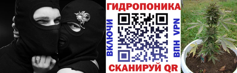 Бошки Шишки Ganja  Рудня 